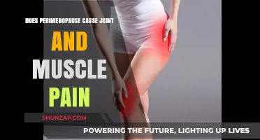 Perimenopause and Joint Pain: What's the Link?