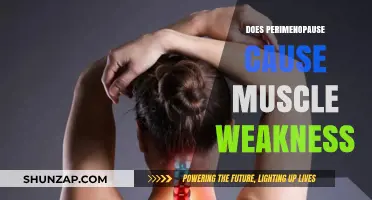 Perimenopause and Muscle Weakness: What's the Link?