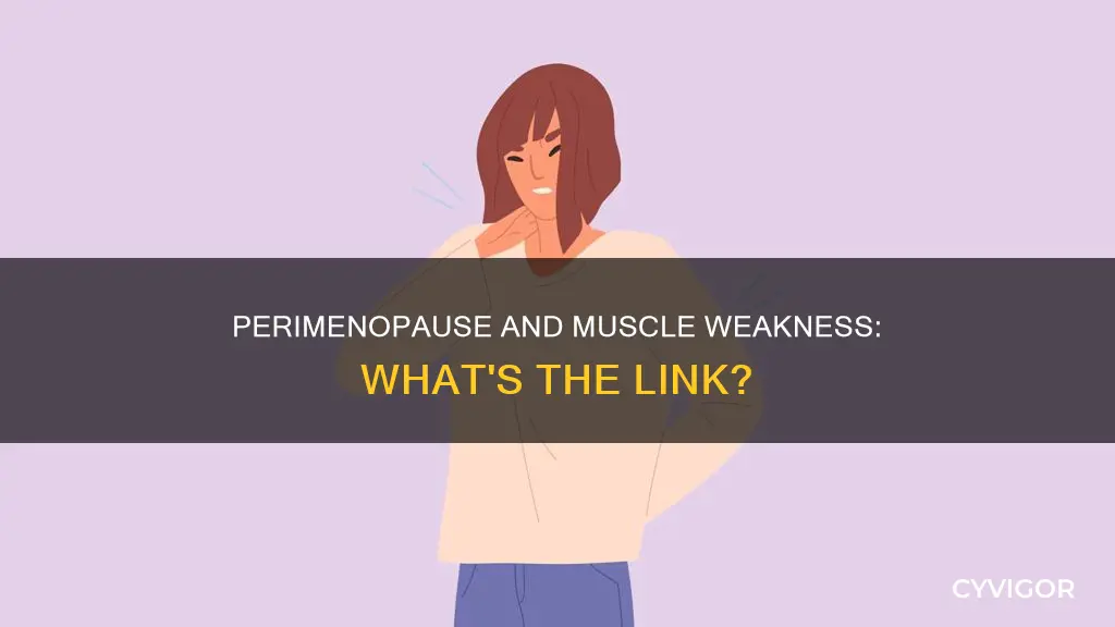 does perimenopause cause muscle weakness
