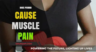 Menstrual Muscle Pain: What's the Link?