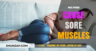 Menstrual Muscle Aches: What's the Connection?