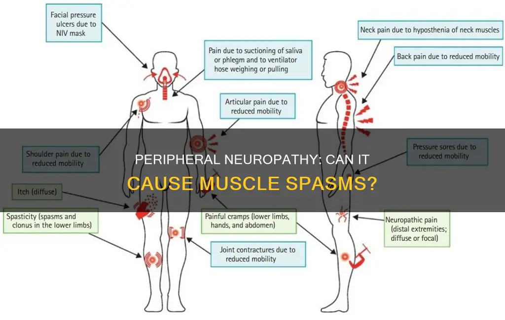 does peripheral neuropathy cause muscle spasms