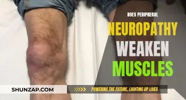 Peripheral Neuropathy: Understanding Muscle Weakness and Its Impact