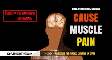Pernicious Anemia: Understanding the Link to Muscle Pain