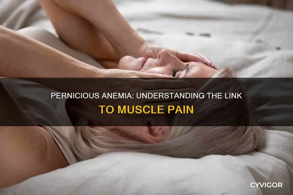 does pernicious anemia cause muscle pain