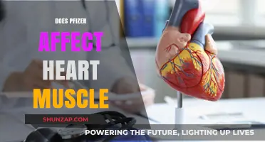 Exploring the Impact of Pfizer on Heart Muscle Health