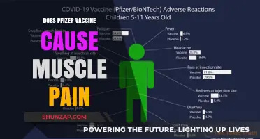 Pfizer Vaccine: Muscle Pain Side Effect?