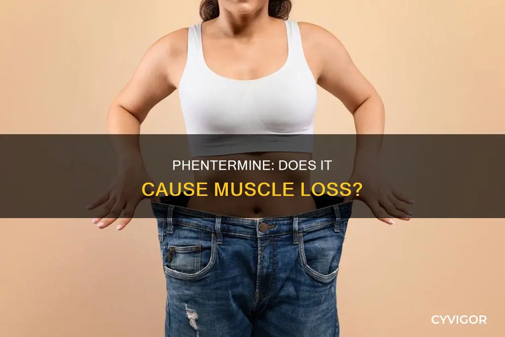 does phentermine cause muscle loss
