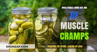 Debunking the Myth: Can Pickle Juice Really Cure Muscle Cramps?