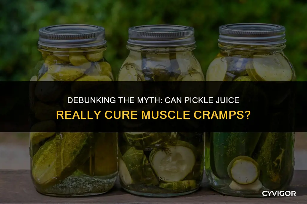 does pickle juice get rid of muscle cramps