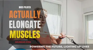 Pilates: Muscle Elongation Myth or Method?