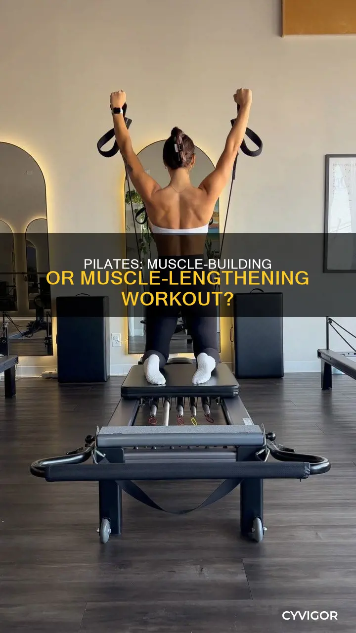 does pilates create muscle
