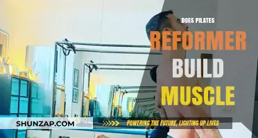 Pilates Reformer: Effective Muscle Building or Just Hype?