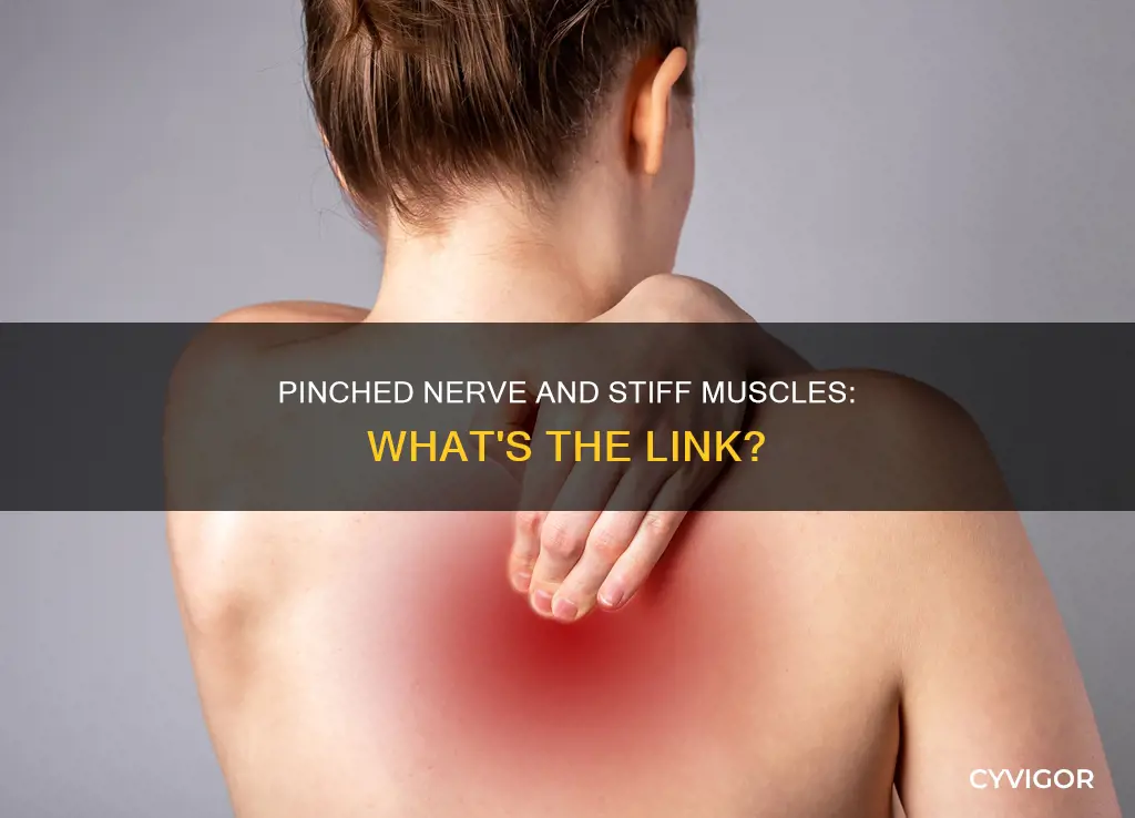 does pinched nerve cause stiff muscle