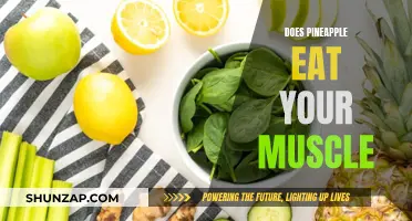 Pineapple's Enzymes: Friend or Foe to Your Muscles?