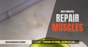 Pineapple's Power: Muscle Repair and Beyond