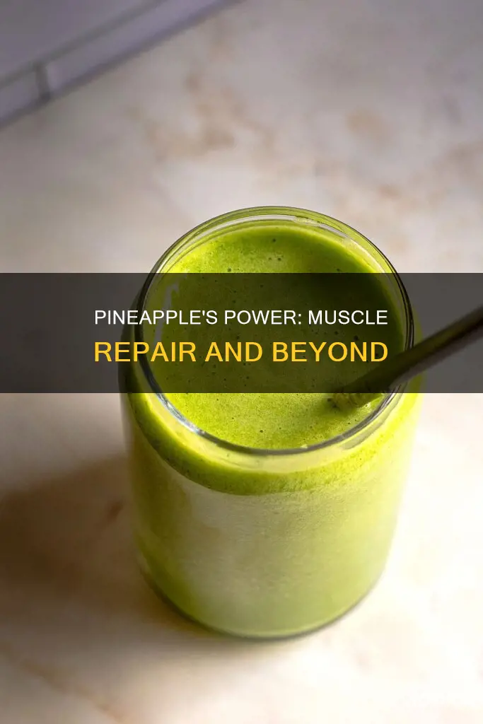does pineapple repair muscles