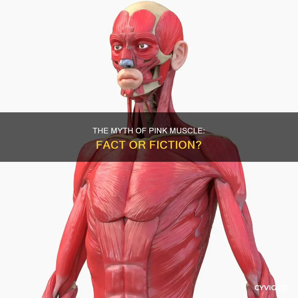 does pink muscle exist