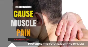 Pitavastatin Side Effects: Is Muscle Pain Common?
