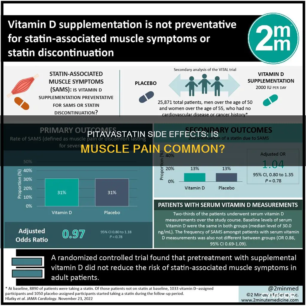 does pitavastatin cause muscle pain