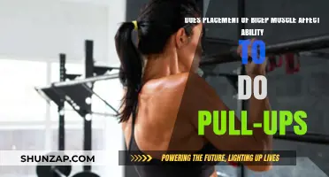 Bicep Muscle Placement: Impact on Pull-Up Performance Explained