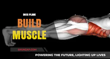 Plank Exercises: Effective Muscle Building or Just a Core Workout?