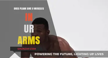 Can Planks Build Arm Muscles? Unveiling the Truth Behind the Exercise