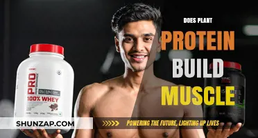 Plant Protein Power: Can It Build Muscle as Effectively as Animal Protein?