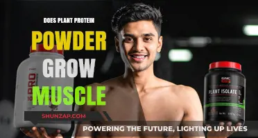 Can Plant Protein Powder Effectively Build Muscle? A Comprehensive Analysis