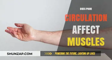 Exploring the Impact of Poor Circulation on Muscle Health