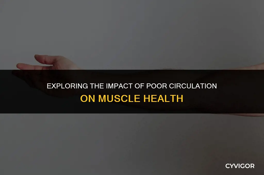 does poor circulation affect muscles