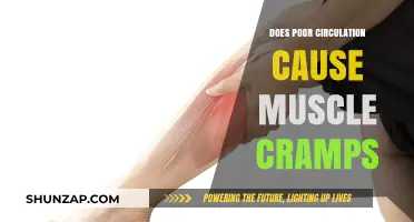 Poor Circulation and Muscle Cramps: What's the Link?