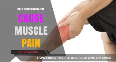 Poor Circulation and Muscle Pain: Is There a Link?