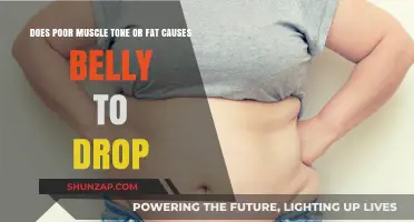 Muscle Tone vs. Fat: Why Does Your Belly Drop?