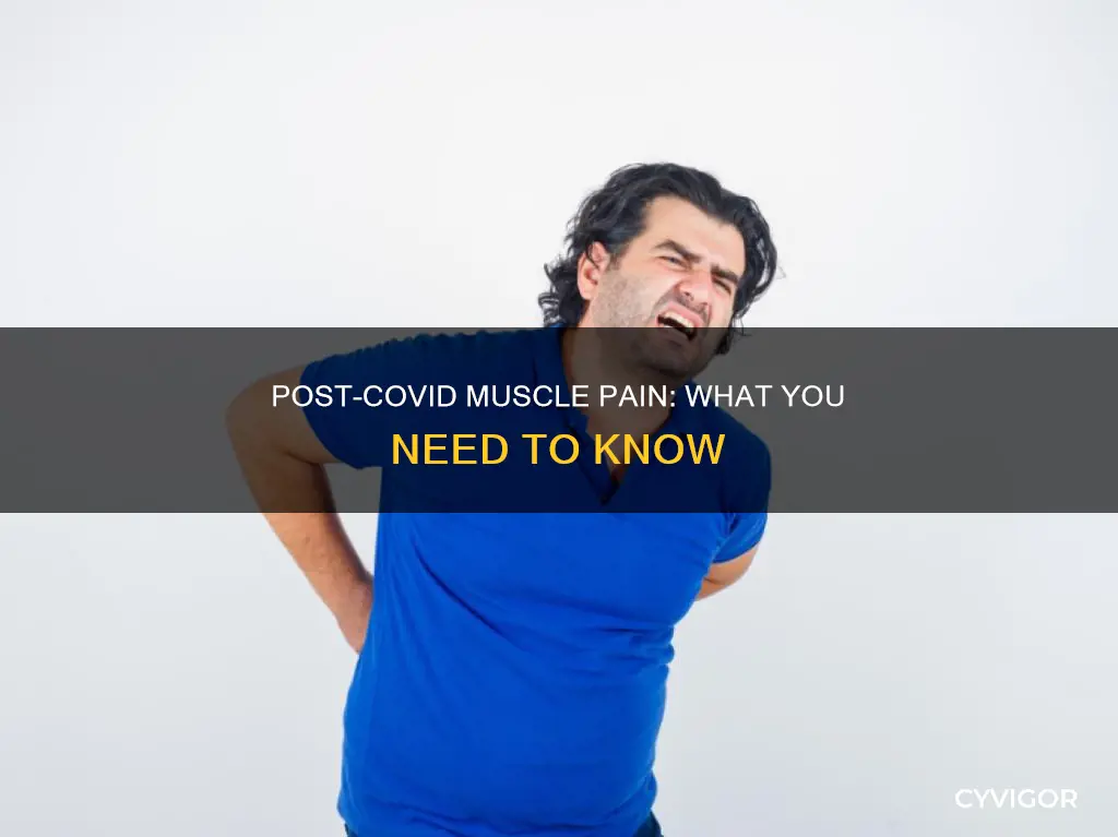 does post covid cause muscle pain