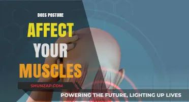 The Surprising Impact of Posture on Muscle Health and Function