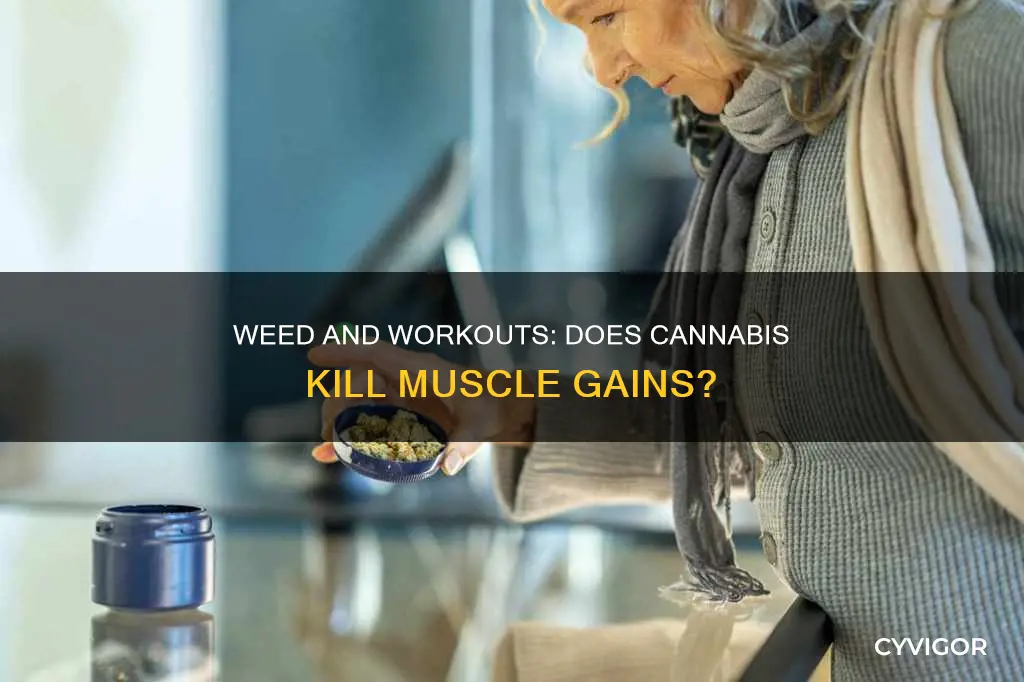 does pot destroy muscle