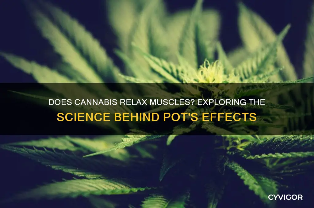 does pot relax muscles