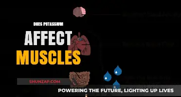 Unveiling the Role of Potassium in Muscle Function and Health