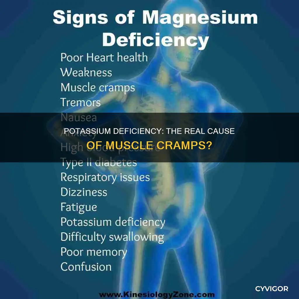 does potassium deficiency cause muscle cramps