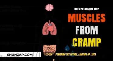Unveiling the Truth: Potassium's Role in Muscle Cramp Prevention