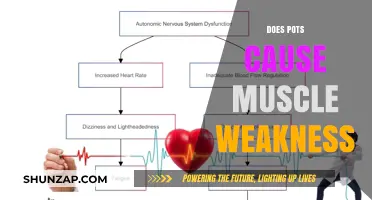 POTS and Muscle Weakness: What's the Connection?
