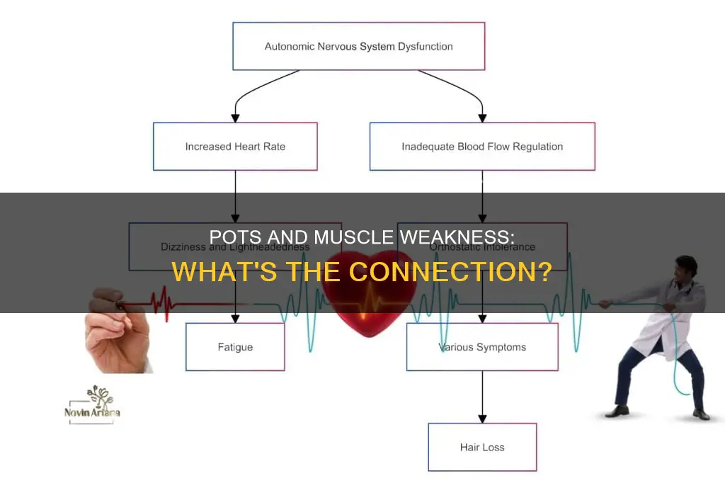 does pots cause muscle weakness