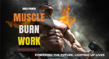 Does Power Muscle Burn Work? Unveiling the Truth Behind the Hype