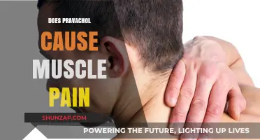Pravachol and Muscle Pain: What's the Link?