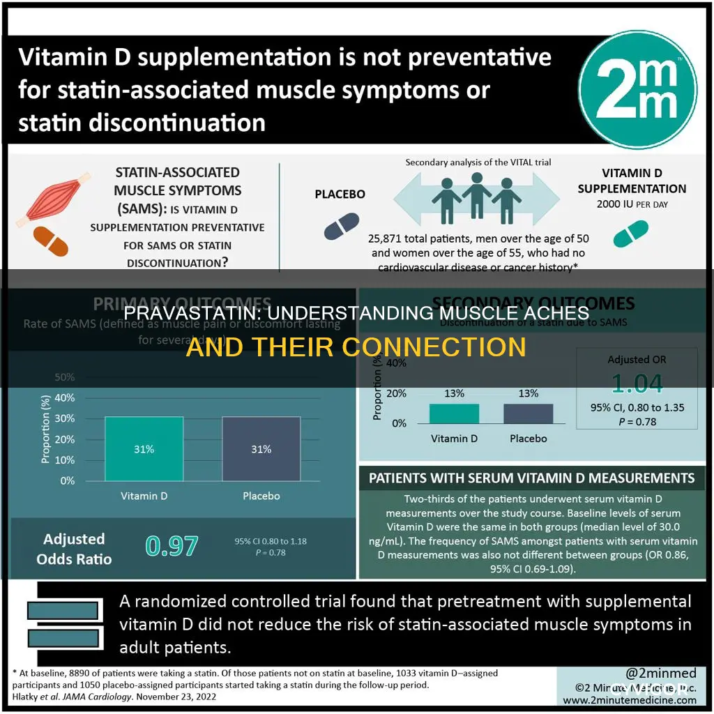 does pravastatin cause muscle aches