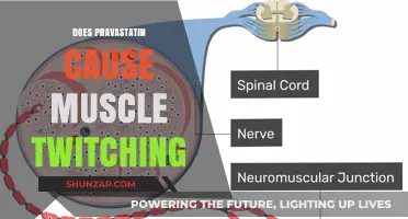 Pravastatin: Muscle Twitching Side Effect?