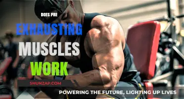 Pre-Exhaust Training: Effective Muscle Fatigue Strategy or Fitness Myth?