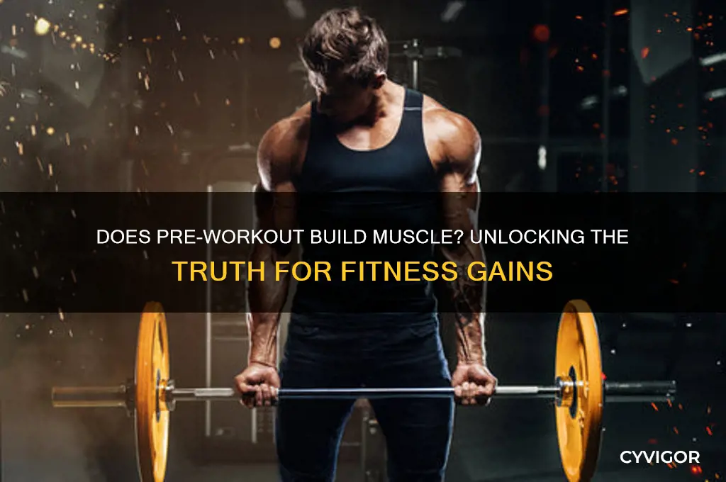 does pre workout gain muscle