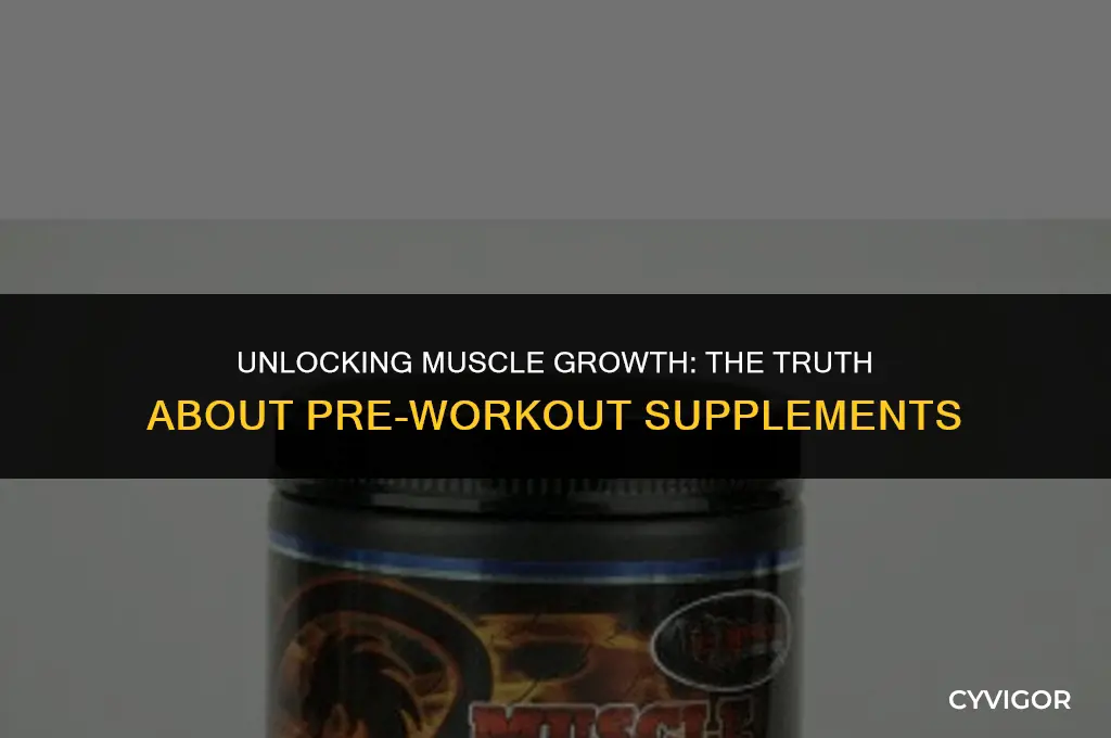 does pre workout help build muscle